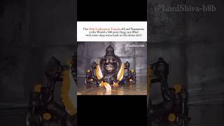 The Only Underwater Temple of Lord Narasimha in the World !