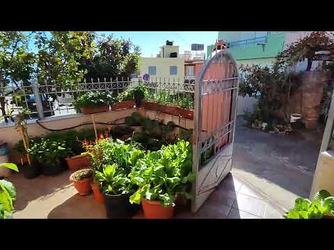 HAGN127 - 2 Bedroom House With Sea Views And Studio Guest Apartment.