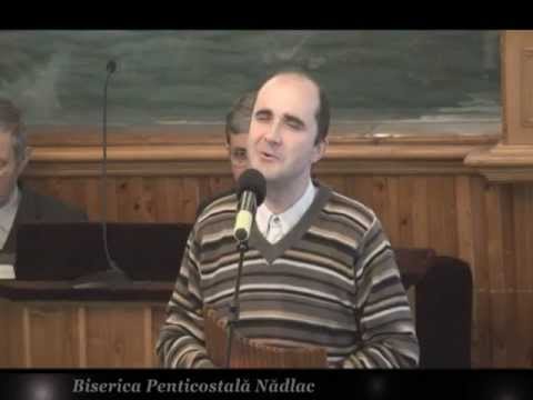 Viorel Manolache - Sunt calator sunt un pribeag aici