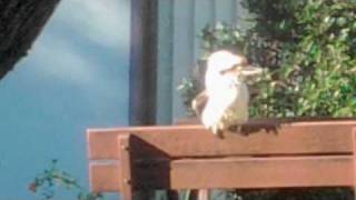 &quot;This Land Is Your Land&quot;.  Xanthe Littlemore covers Woody Guthrie song