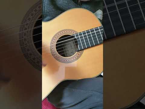 Yamaha GC-30 Grand Concert Classical Guitar Ezaki 1992 Solid Spruce, Modded Neck image 13