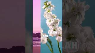 Download lagu Motivasi hidup dan Kajian hidup islami mp3