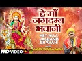हे माँ जगदम्ब भवानी Hey Maa Jagdamb Bhawani I AMLESH SHUKLA AMAN I D