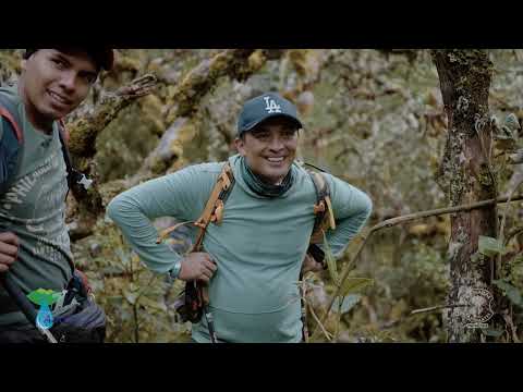 Parque Nacional Natural Las Hermosas, Laguna Cristales, Pradera Valle.