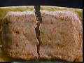 Pop Tarts Commercial