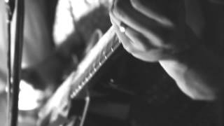 Tommy T and The Cockatoo