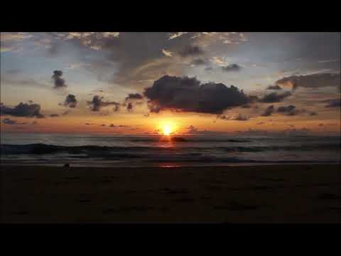 Vĩnh biệt tình ta - Ngọc Lan