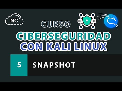Curso de Ciberseguridad con Kali Linux Análisis de Endpoints de API