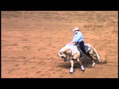 Shiners Voodoo Dr ~ 2010 NRHA Futurity Finals Run