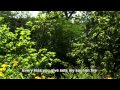 My One And Only Love - MFSB with Lyrics