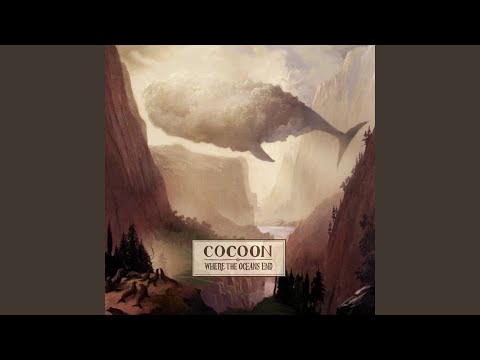 Comets - Cocoon