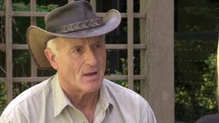 Jack Hanna: Right decision was made to kill gorilla