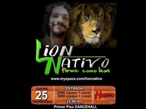 Lion Nativo -  La raiz del viento