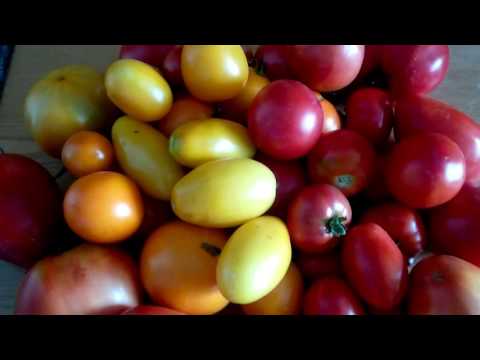 Собрали урожай второй заход!