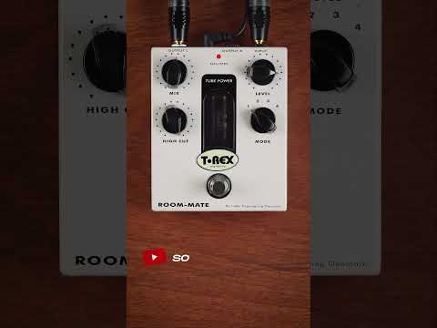 T-Rex Room-Mate 2010s - White image 5