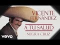 Vicente Fernández - Negra Cruz  - Cover Audio