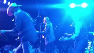 Phil and Dave Alvin - American Music