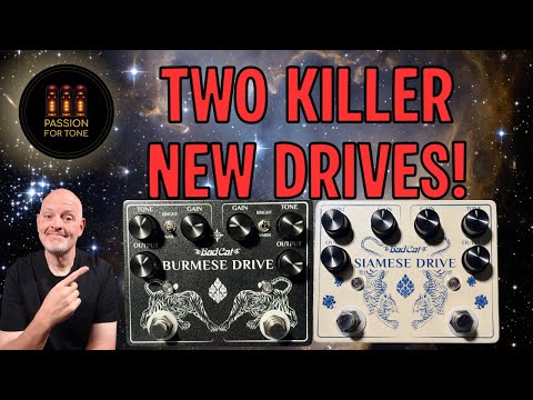 Video ID mOUSYmEZZpY