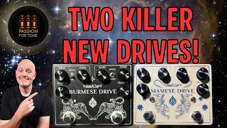 Video thumbnail for Wait… Bad Cat Is Building Pedals?! First Look at the Siamese & Burmese Drives! by Passion For Tone