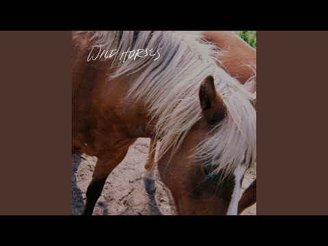 Wild Horses