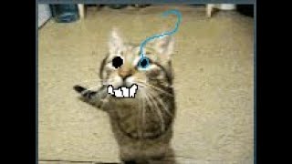 Cover art for megalovania