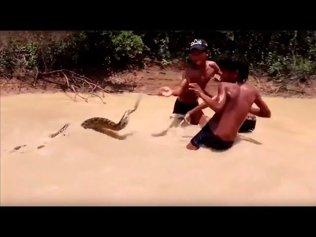 Дети VS питон