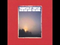 Trampled By Turtles-Codeine 
