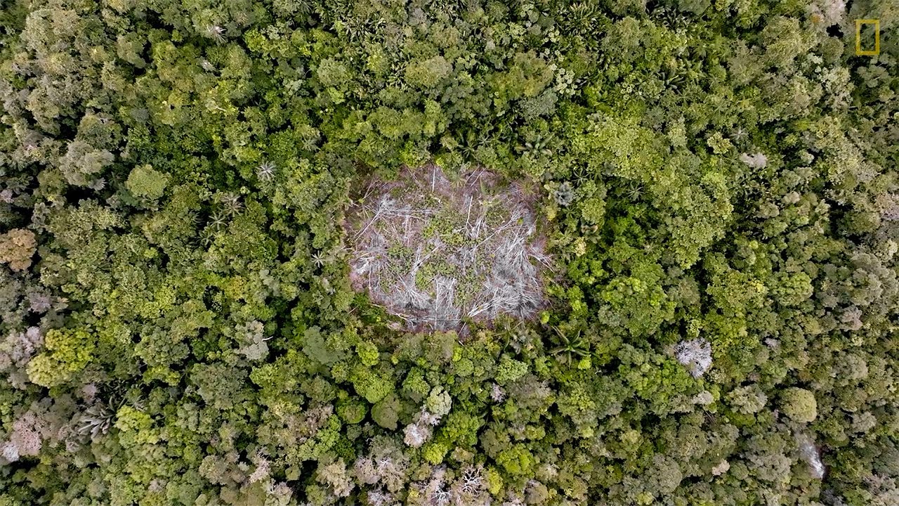 Saberes da roça | Sistema Agrícola Tradicional do Rio Negro