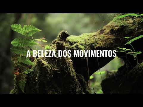 Warung Day Festival 2022 - Natureza