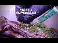 How to attach MOSS with SUPERGLUE + rare Takashi Amano moss trick