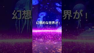 幻想的な世界に没入体験！？横浜に新しくできたデジタル体験施設とは？#ワンダリア横浜 #おすすめスポット #横浜  #関内  #ワンダリア #GWにおすすめ