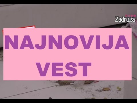 UŽASNE SCENE iz Zadruge - OVO je SRAMOTA #zadruga #zadrugainfo