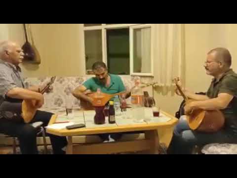 şu geniş dünyada dardadır gönlüm