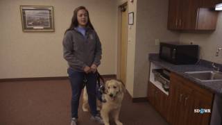 SDWR Training Counter Surfing