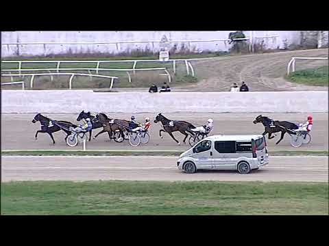 Napoli Trotto 13/01/2023 - 2ª corsa