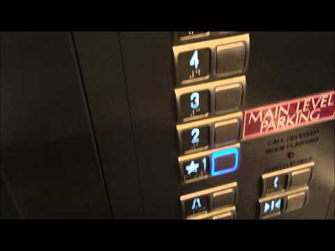 Freshly Modded Schindler Elevators with Unique Fixtures