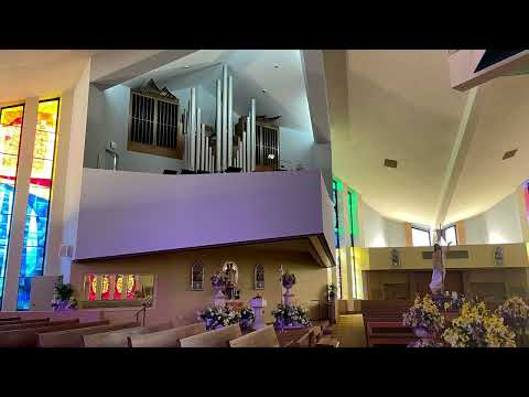 Thumbnail for Come Away To The Skies video