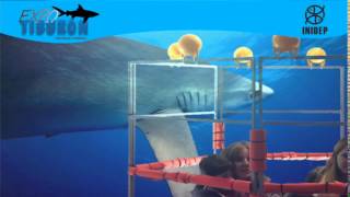 DIA 2 Expo Tiburon133