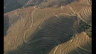 preview picture of video 'Douro - The Wine Region // Douro - A Região do Vinho'