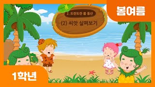 [초등 1학년 | 봄여름] 씨앗 살펴보기 | 씨앗 종류 | 씨앗 심는 방법 | 씨앗이 자라는 모습