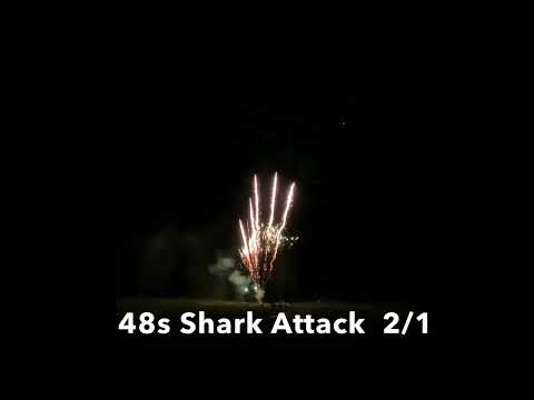 WWF5024  48s Shark Attack  2/1