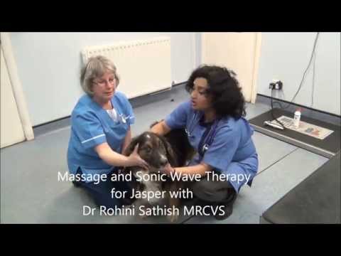 Dr Rohini Ultrasound Massage and Sonic Wave Therapy on Jasper