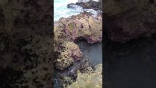 Ocean austerity. Enjoy the waves and lights, brought to you by nature.