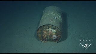 Trash in the deep sea: Bringing a hidden problem to light