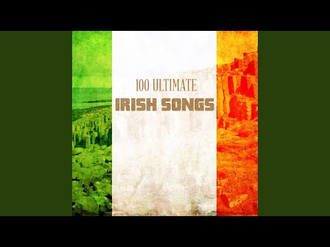Medley: Paddy's Gone to France/ Concertina Reel