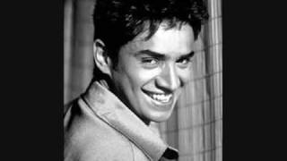 Si Una Vez Lyrics English Translation