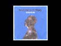Raashan Ahmad - The Remedy 