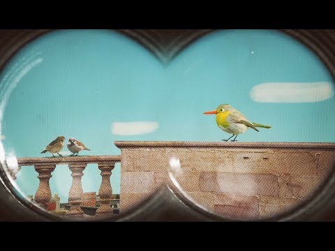 Das Abgeordnetenhaus kurz erklärt - "Der Film mit dem Vogel"