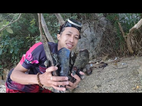 SE02EP004 - EXPLORING and HUNTING SHELL ISLAND of PAGBILAO QUEZON
