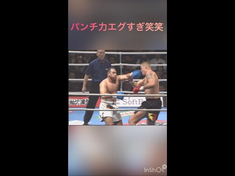 ジャブで失神ko #short #格闘技